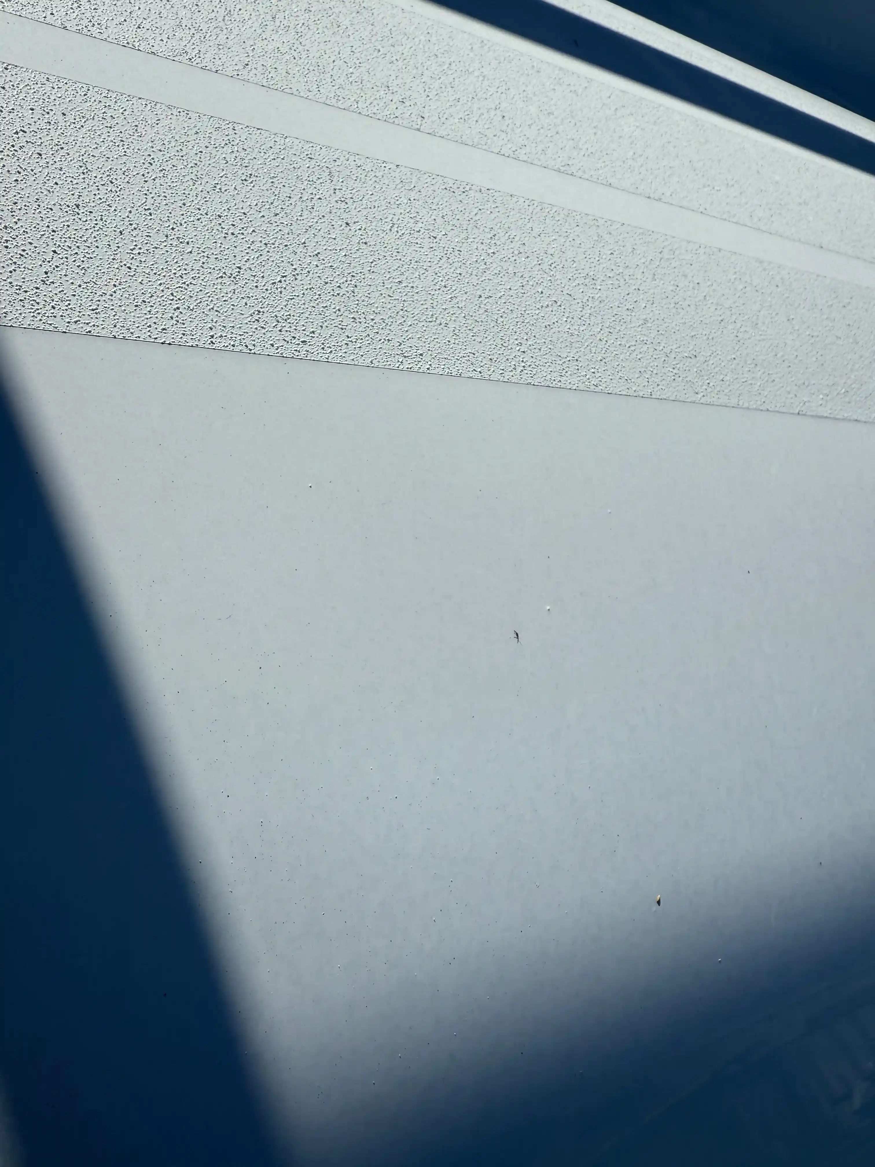 boat paint